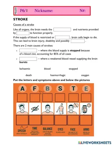 Circulatory system - Stroke