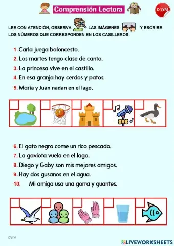 Comprensión lectora