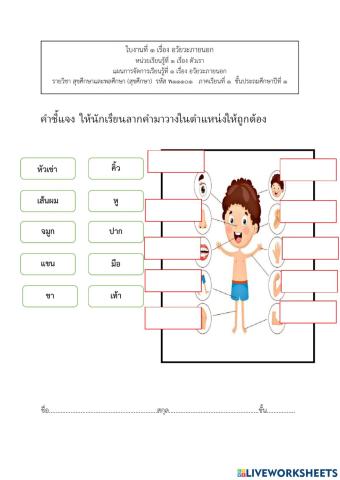 ใบงานสุขศึกษาหน่วย 1 ร่างกายภายนอก