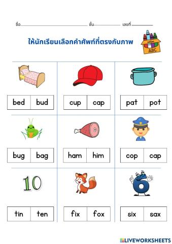 ใบงานถูกผิด