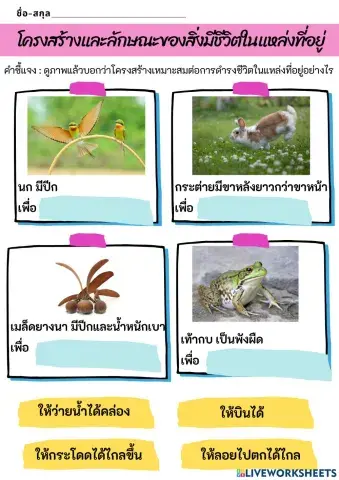 โครงสร้างและลักษณะของสิ่งมีชีวิตในแหล่งที่อยู่