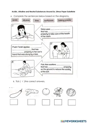 Acidic, Alkaline and Neutral Substances Around Us, Litmus Paper Substitute