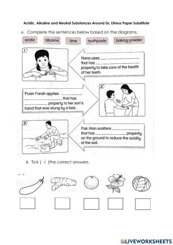 Acidic, Alkaline and Neutral Substances Around Us, Litmus Paper Substitute