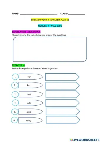 English plus 1 year 5