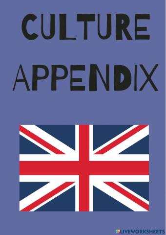 Culture appendix