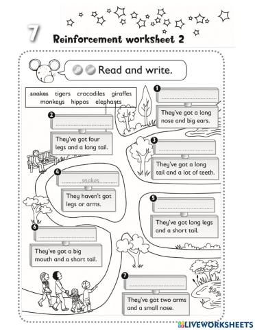 Have Got Descriptions Animals 1st Grade