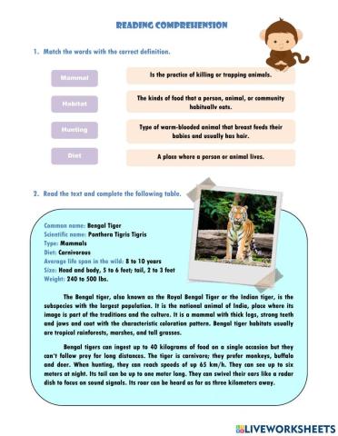 Reading comprehension animals