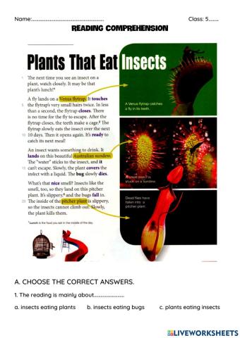 Reading comprehension