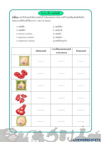 แบบฝึกหัด ออสโมซิส