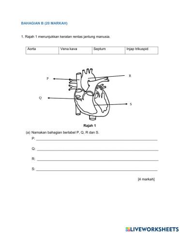 Ujian summatif2 Ogos 2021 BAHAGIAN B