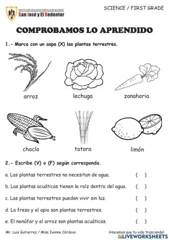 Hábita de las plantas