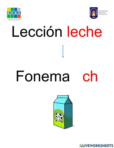 Lección leche