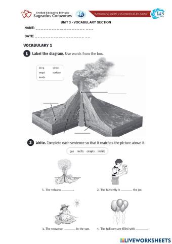 Vocabulary 3 Introduction