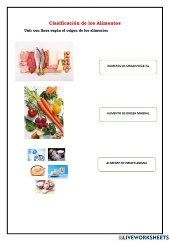 Clasificacion de los animales