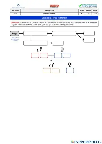 Ejercicio 12 - Leyes de Mendel