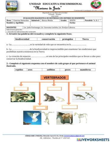 Prueba de diagnóstico de Ciencias Naturales