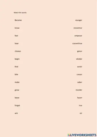 Vocabulary Verbs