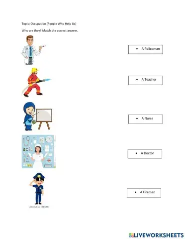 Occupation and Workplace