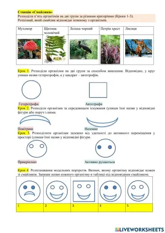 Адаптації та види середовищ