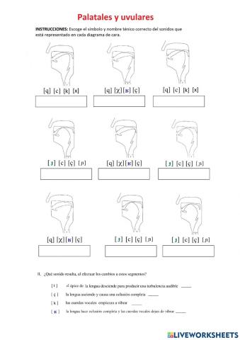 Palatales y uvulares 2
