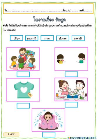 แบบฝึกัดเรื่องข้อมูลป.5-ครูนิว