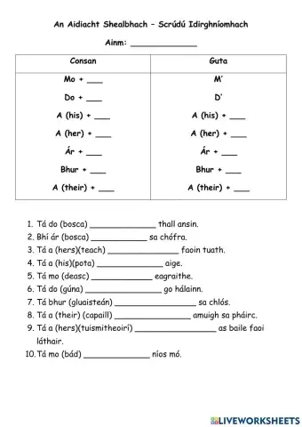 An Aidiacht Shealbhach 1ú Bhliain