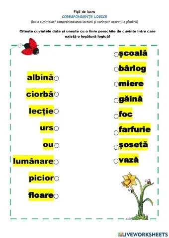 Asociază logic cuvintele!