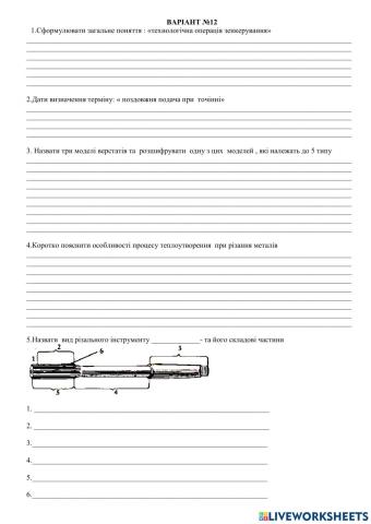 Робочий аркуш варіант 12