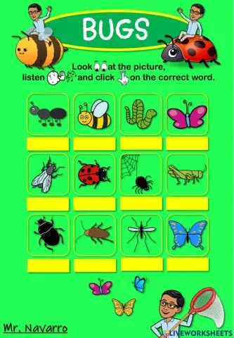 Bugs (Look, listen and click)