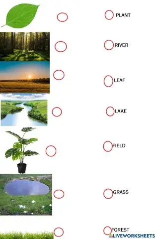 Kid's box 3 unit 6 countriside