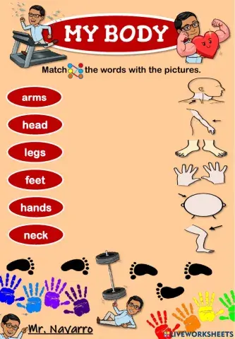 My Body (Match the words with the pictures)