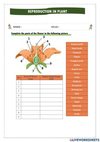 Sistem reproduksi pada tumbuhan