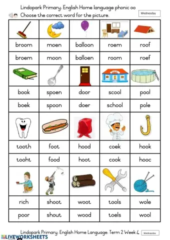 Grade 3: English: Term 3 Week 14 Phonic oo