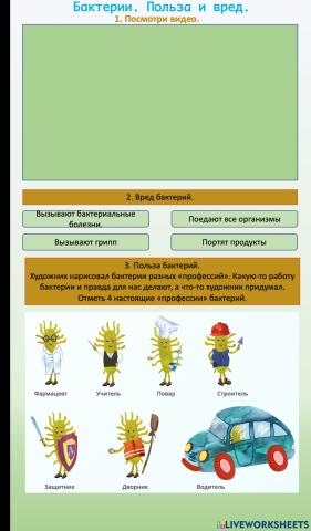 Бактерии. Польза и вред.