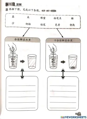 科学二年级：混合物