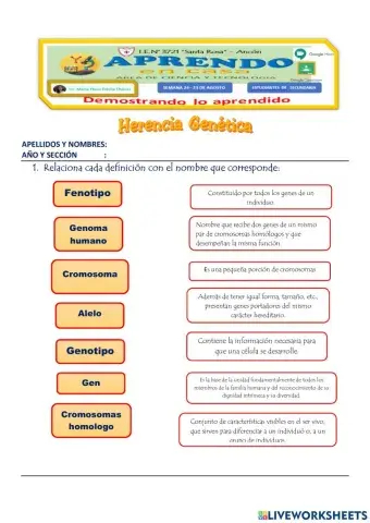 Ficha interactiva-herencia genética