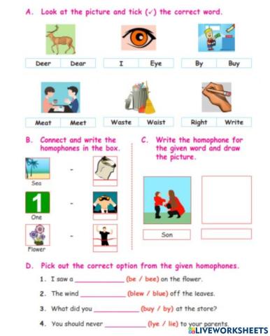 4th English - Term 1 - unit -2 Homophones