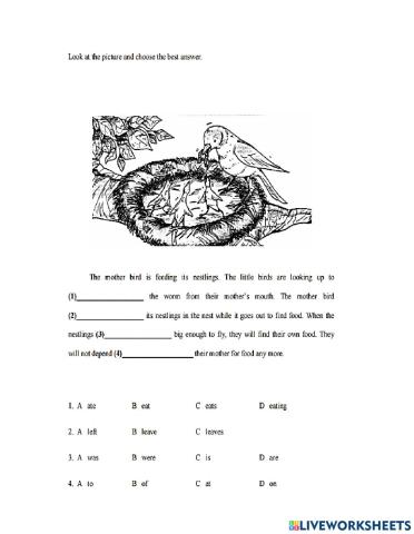 Pdpr Module Exercises Year 6 by Teacher Jaya