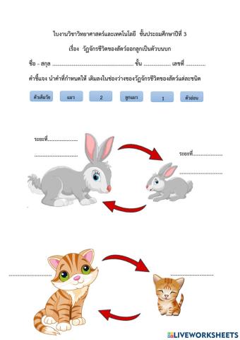 วัฏจักรชีวิตของสัตว์ออกลุกเป็นตัวบนบก