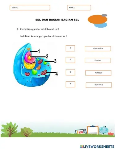 Sel dan bagian-bagian sel