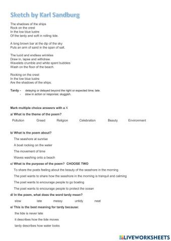 Poetry Analysis The Sketch