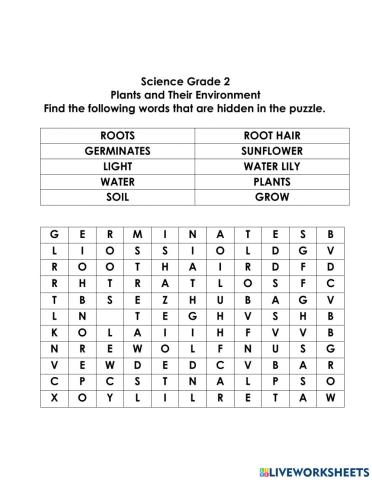 PLANTS AND THEIR ENVIRONMENT PUZZLE
