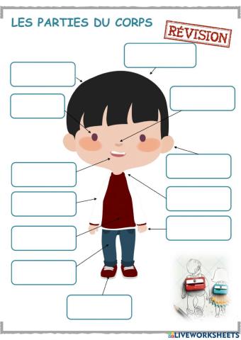 Les parties du corps