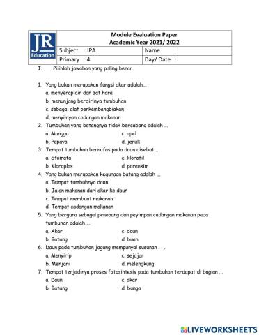Module evaluation IPA