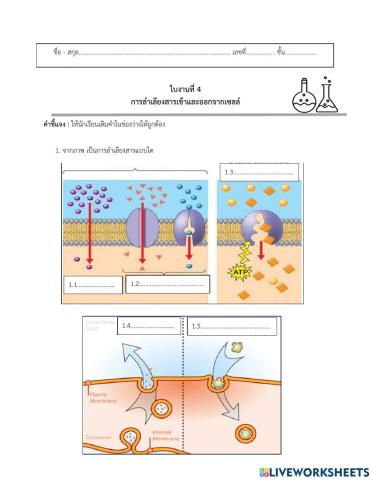 ใบงานที่ 4 การลำเลียงสารผ่านเข้าและออกจากเซลล์