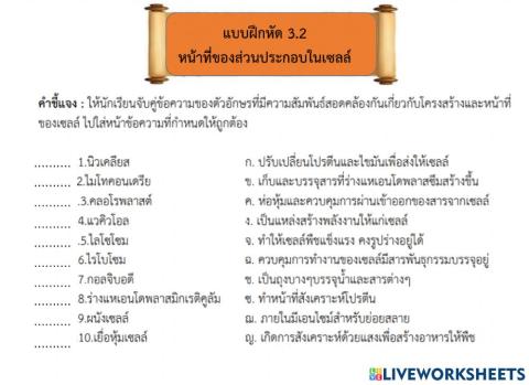 แบบฝึกหัด 3.2 เรื่องหน้าที่ของส่วนประกอบภายในเซลล์