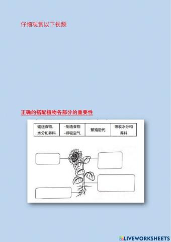 植物各部分的重要性