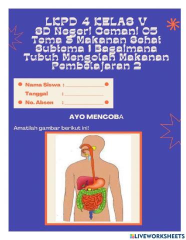 LKPD 4 Diagram Alur Makanan pada Organ Pencernaan