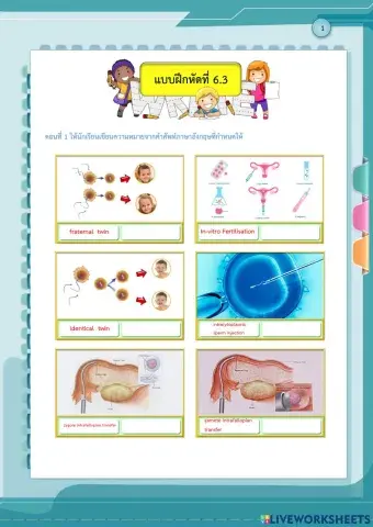 การมีบุตรยาก