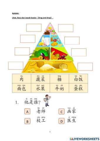 Bcsk t5 食物金字塔